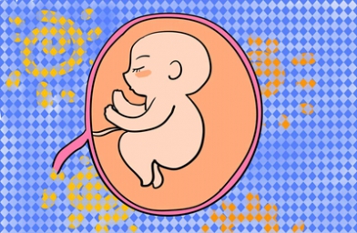 俄罗斯试管婴儿：选择第五天囊胚移植的奥秘何在?
